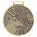 Medaile podle hodnocení CIC jelen č.846 - zlatá medaile jelen